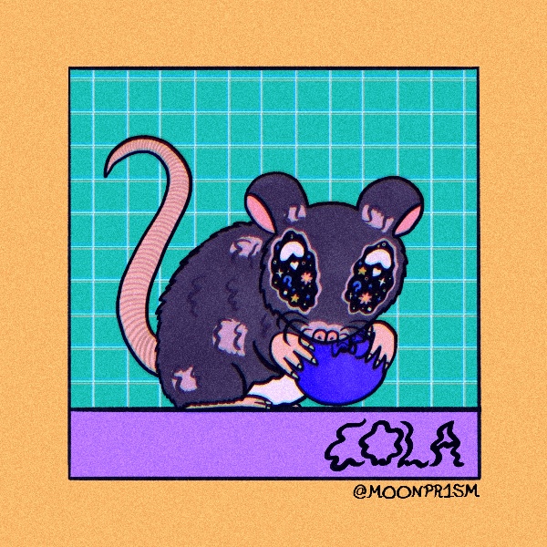 a rat named cola eating a blueberry