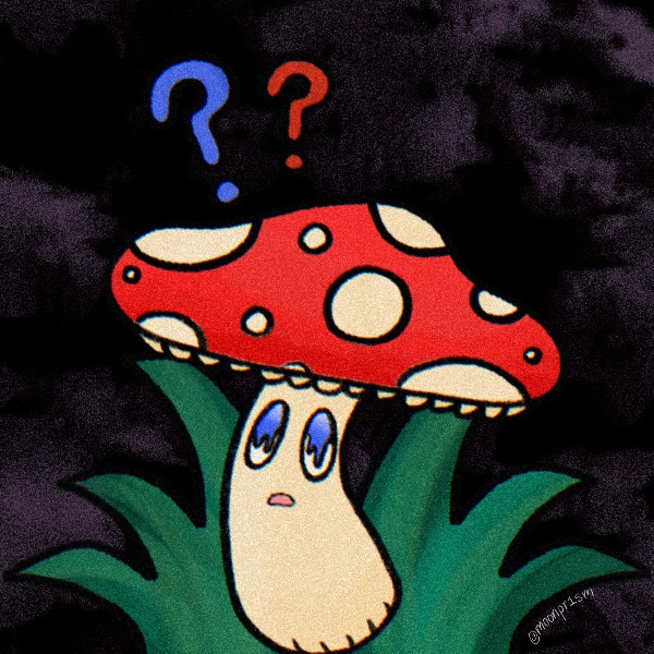 a mushroom what is perplexed