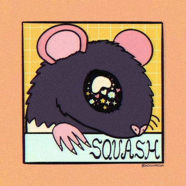 a rat named squash with large glittering eyes