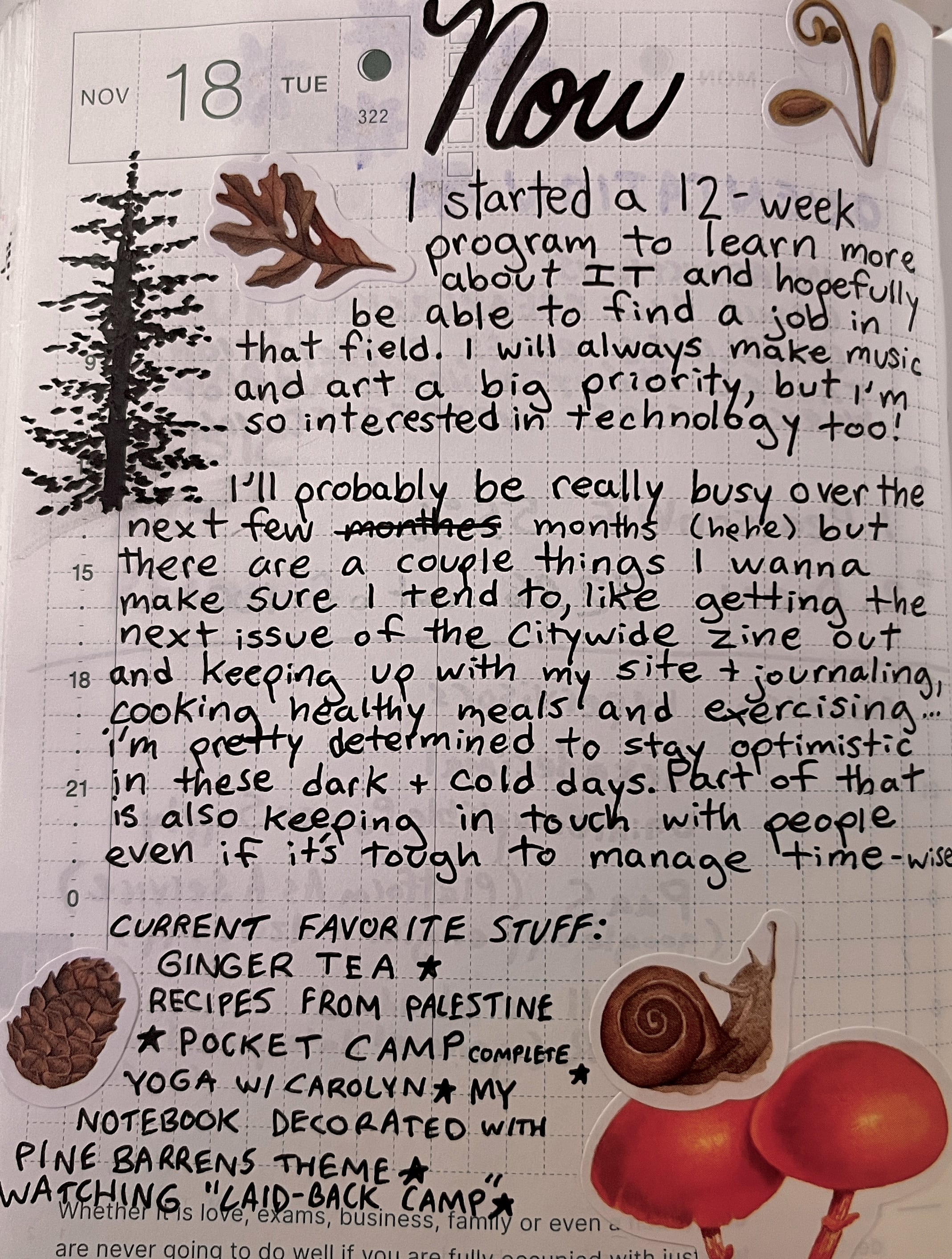 A page from my journal. It says 'Now' at the top and is dated November 18th, 2025. The entry reads: I started a twelve week program to learn more about Information Technology and hopefully be able to find a job in that field. I will always make music and art a big priority, but I'm so interested in technology too! I'll probably be really busy over the next few months, but there are a couple things I wanna make sure I tend to, like getting the next issue of the Citywide zine out and keeping up with my site plus journaling, cooking healthy meals and exercising. I'm pretty determined to stay optimistic in these dark and cold days. Part of that is also keeping in touch with people even if it's tough to manage time-wise. Then I list my current favorite stuff: ginger tea, recipes from palestine, pocket camp complete, yoga with carolyn, my notebook decorated with pine barrens theme and watching Laid-Back Camp.
