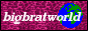 big brat world