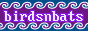 birdsnbats
