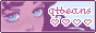 qt beans