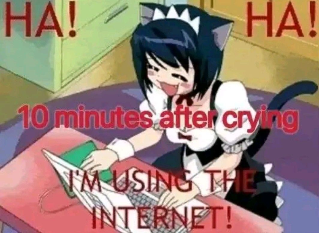 an anime catgirl in a french maid outfit looking cheerful while using a laptop. the text reads '10 minutes after crying - haha, i'm using the internet'