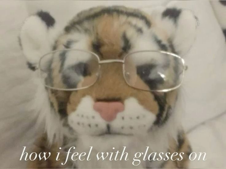 a stuffed animal of a tiger that is wearing glasses with the text 'how i feel with glasses on'
